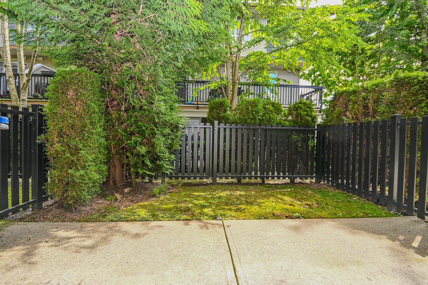 Fully Fenced Backyard
