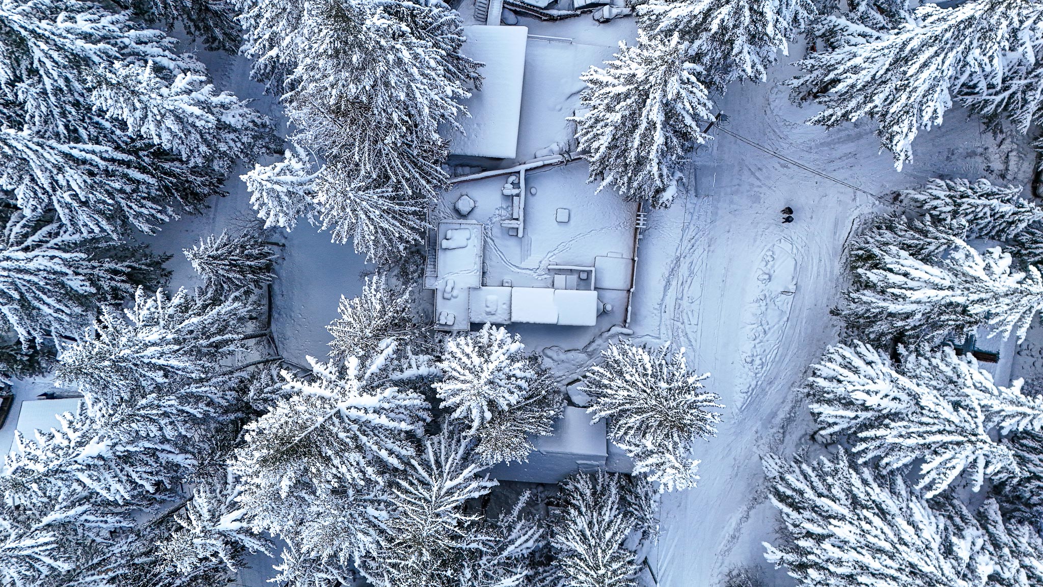 Winter Wonderland Winter Wonderland